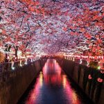Japon : oubliez le Wi-Fi, cette eSIM Saily à 3,99 $ pour 7 jours va révolutionner votre voyage !