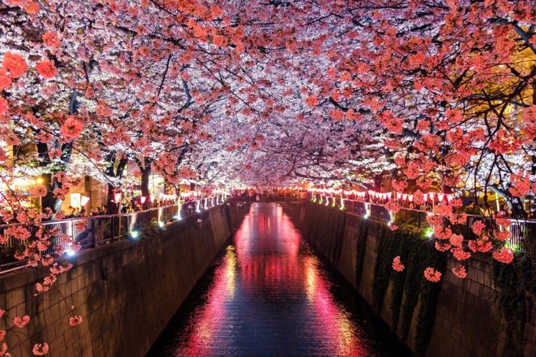 Japon : oubliez le Wi-Fi, cette eSIM Saily à 3,99 $ pour 7 jours va révolutionner votre voyage !