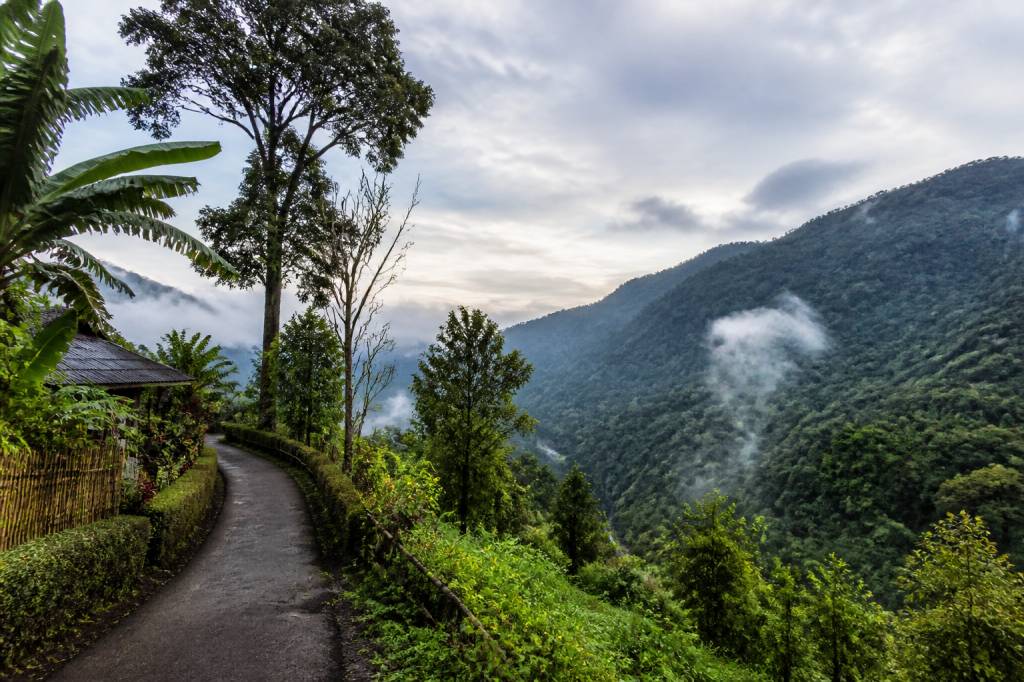 Carte Bali Munduk : les lieux incontournables à découvrir et les conseils pratiques pour votre voyage